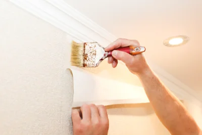 Pose de papier peint à la Chapelle-sous-Dun — revêtements muraux et toiles de verre